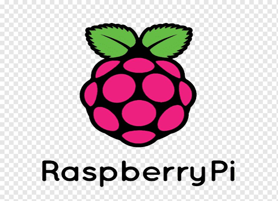 Raspberry Pi Logo